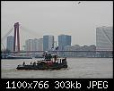 Misty morning-dsc02980-cs3.jpg